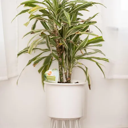 Apartmán Am Zoo & Stadtkern Lipsko