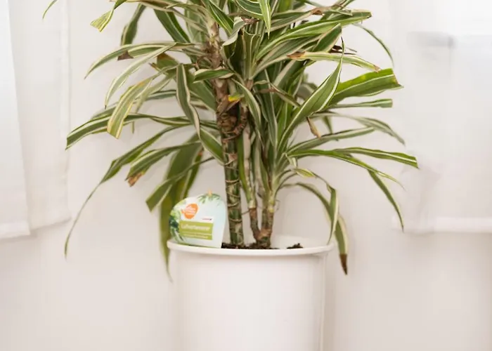 Lejlighed Am Zoo & Stadtkern Leipzig