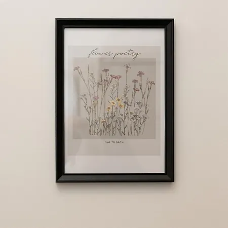 Am Zoo & Stadtkern Daire